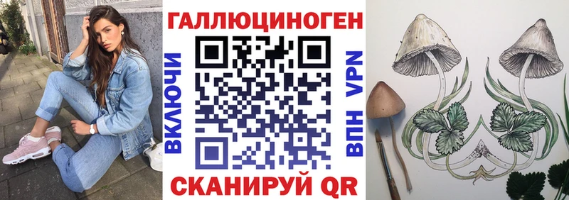 Купить закладки  Новосибирск  Галлюциногенные грибы прущие грибы 